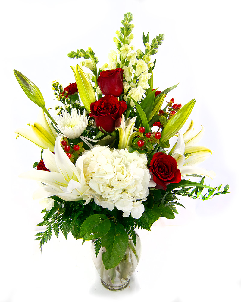 <b>Notice</b>: Undefined index: name in <b>/home/stranges/public_html/shop/vqmod/vqcache/vq2-catalog_view_theme_default_template_product_search.tpl</b> on line <b>388</b>